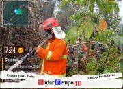 Pantang Pulang Sebelum Padam, Babinsa Koramil 07/Teluk Keramat Bersama MPA Padamkan Karhutla