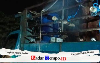 Cegah Surra Menyebar ke Kalimantan, Karantina Jatim Periksa Empat Kuda Asal Kediri