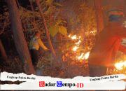 Sinergi Polsek Bungkal Bersama Tim Gabungan Berhasil Jinakkan Karhutla di Ponorogo