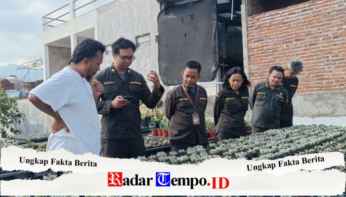 Tanaman Hias Jatim Tembus Pasar Dunia