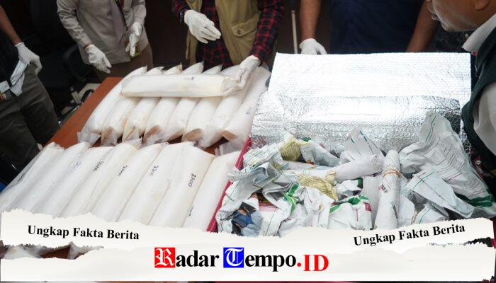48.800 Benih Lobster Diselamatkan dari Perjalanan ke Singapura