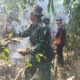 Karhutla Masih Tinggi, Kodim 1009/Tanah Laut Perkuat Kesiapsiagaan dan Respons Cepat