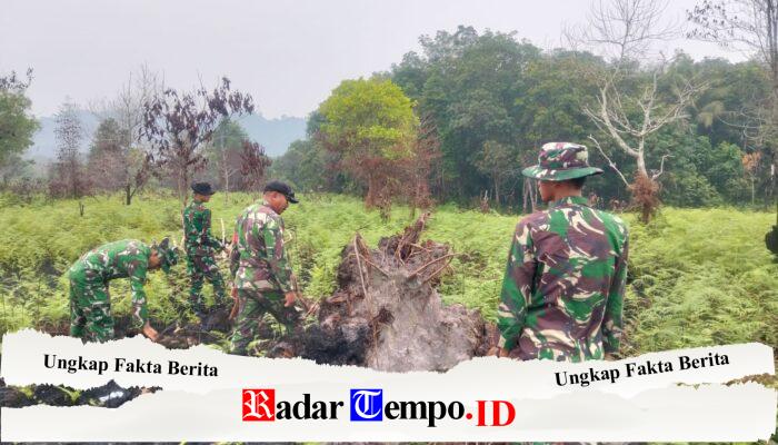 Babinsa Temajuk Koramil 08/Paloh Lakukan Patroli Lahan Antisipasi Karhutla