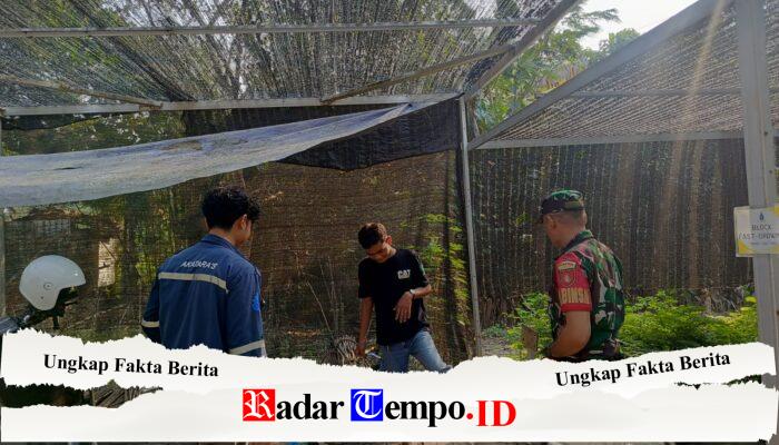 Babinsa Koramil 1008-04/Tanta-Murung Pudak Terus Gencarkan Komsos, Perkuat Kedekatan dengan Masyarakat