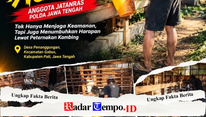 Di Balik Kesibukan Jatanras Polda Jateng, Aipda Agus H Tekuni Ternak Kambing di Pati