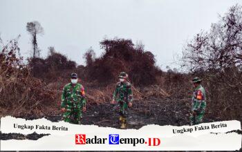 Tingkatkan Kesadaran Masyarakat tentang Bahaya Karhutla, Koramil 07/Teluk Keramat Laksanakan Patroli Rutin dan Imbauan Larangan Membakar