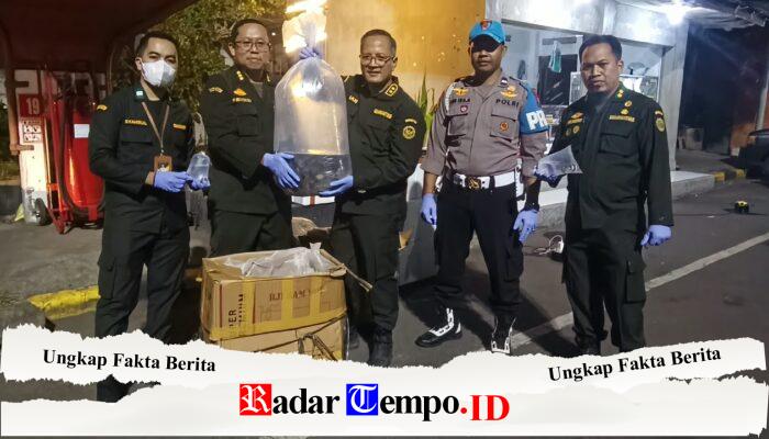 Patroli Malam di Ketapang, Petugas Temukan Ayam dalam Tas hingga 1 Ton Selada Tanpa Sertifikat
