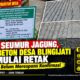Rabat Beton Desa Blingjati Mulai Retak, Anggaran Rp120 Juta Jadi Sorotan